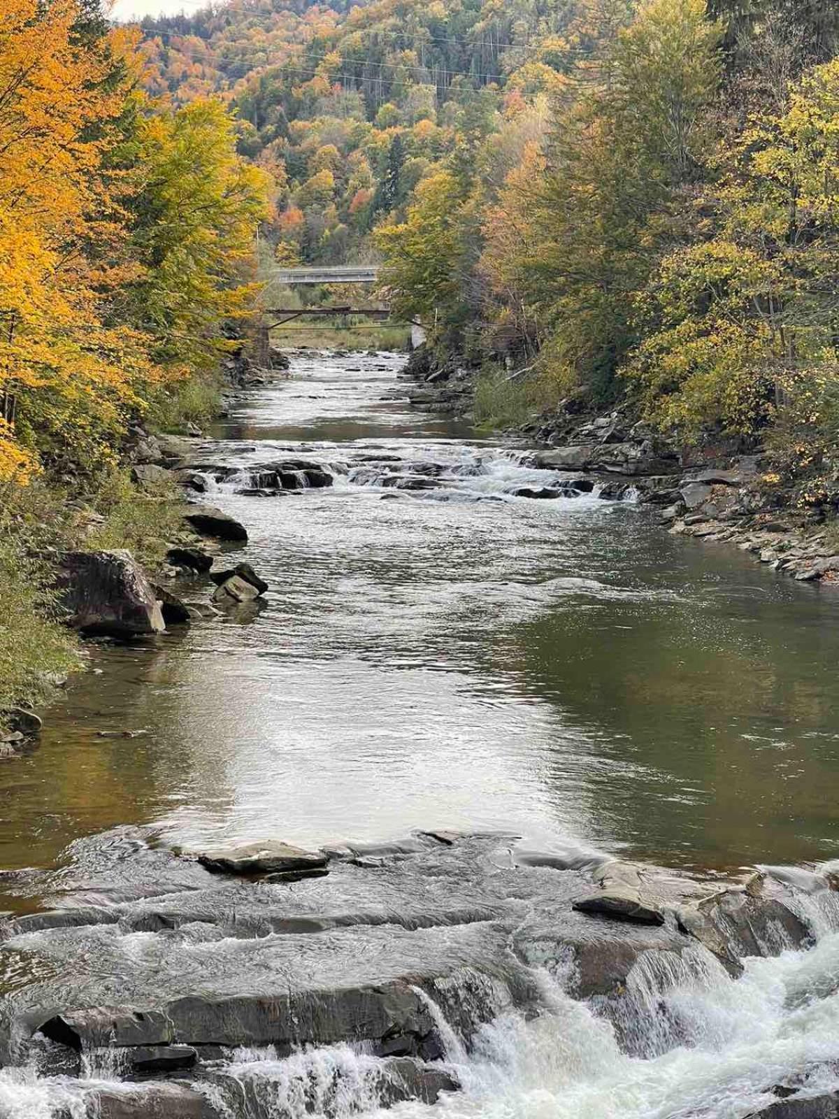 Котедж "Гірський Затишок" Yaremche Dış mekan fotoğraf